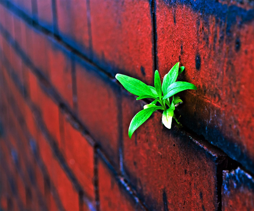 Benefits of Green Building. Are You A Good Corporate Citizen?